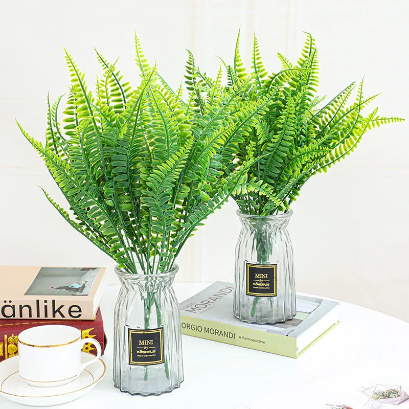 Persian leaf fish Herbal medicine