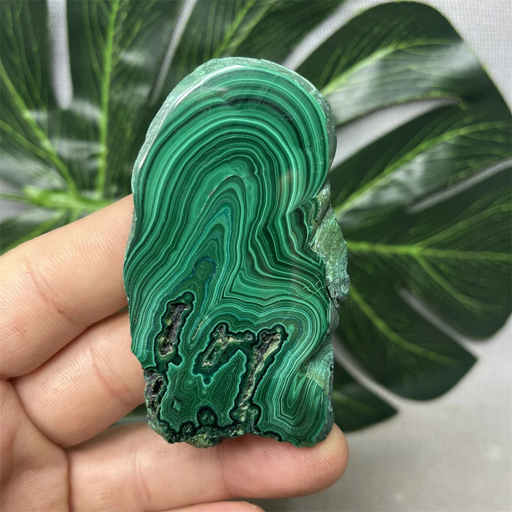 Eyes Malachite Mineral Specimen