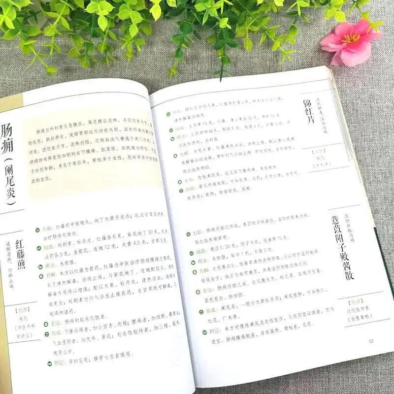 Traditional Chinese Medicine Special Effect Prescription Encyclopedia Materia Medica Prescription Chinese Herbal Medicine Books